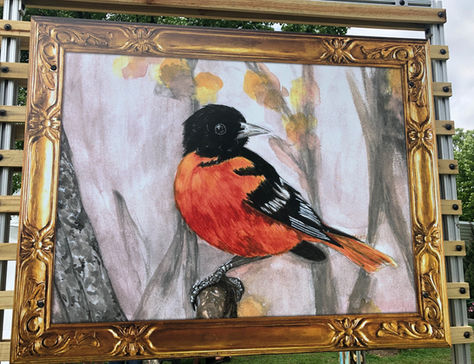 Gardening for the Chesapeake: What to Plant for Orioles