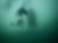 72B57631-F005-41D8-8816-AAE8B30AF7F0.jpeg