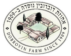 df5f11_f2599ba959c14a618a1dc69a37ba8bcd