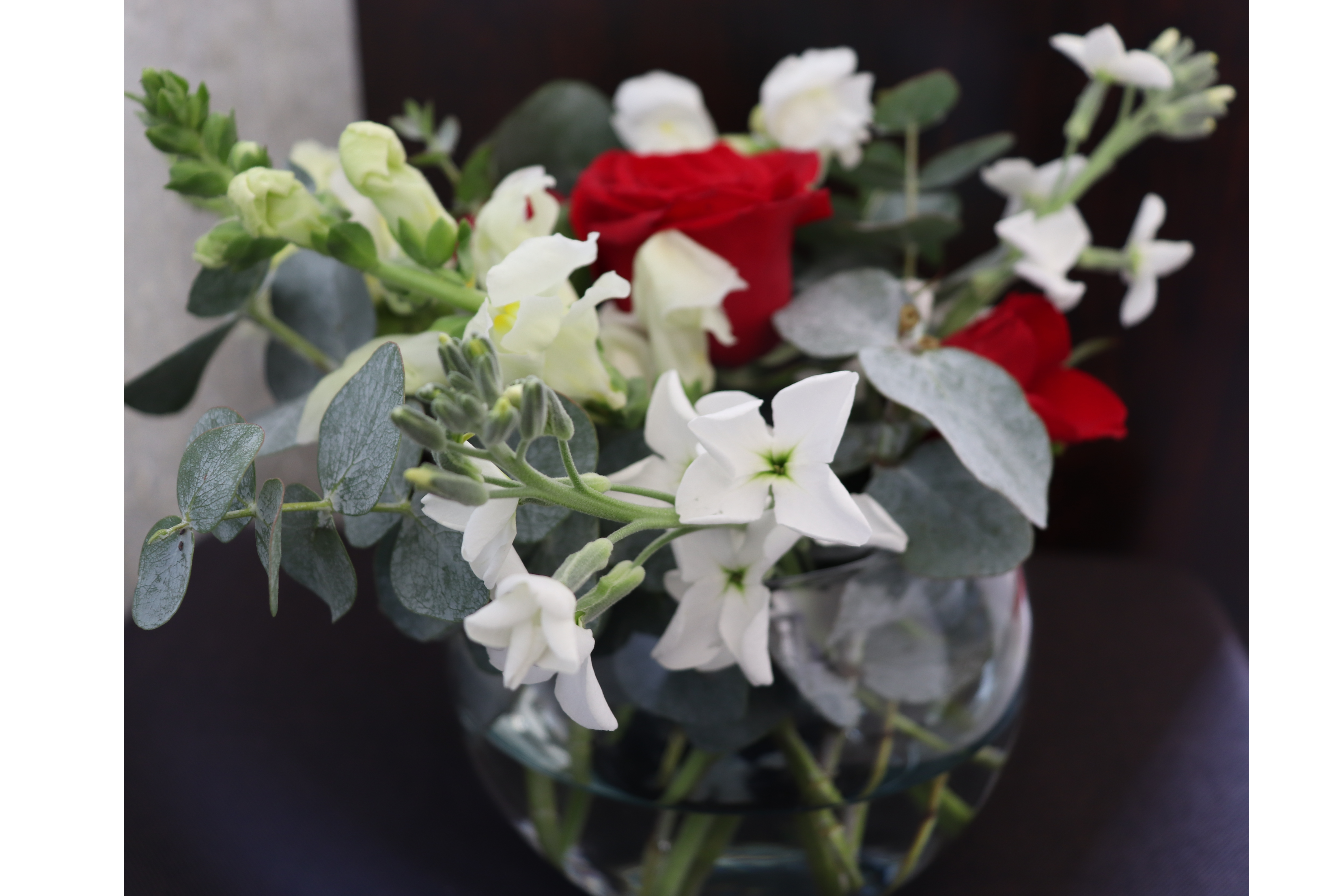 Rosas, matiolas y perritos