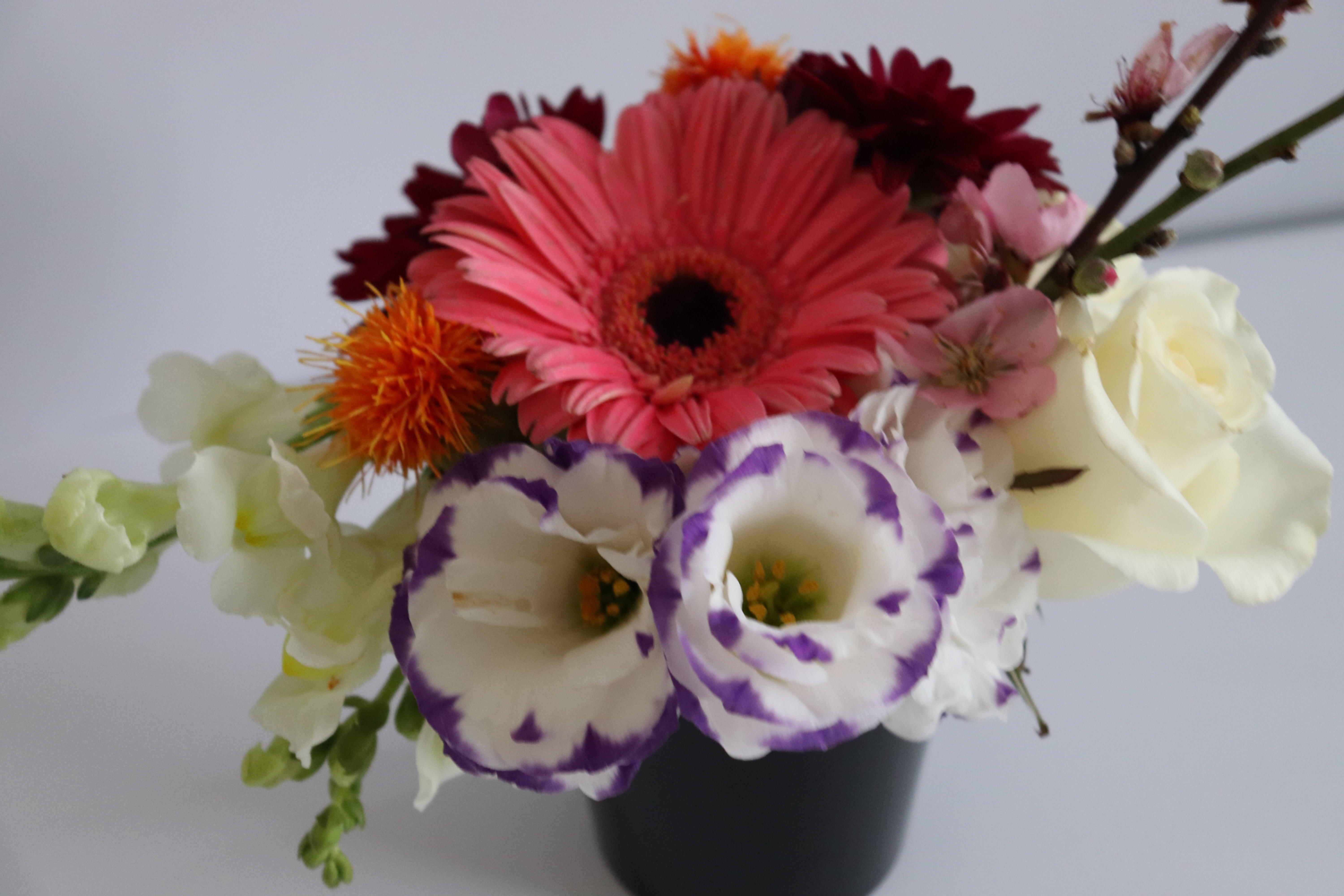 Gerberas, danas, lisianthus, perritos, rosas, cártamos y flores de durazno