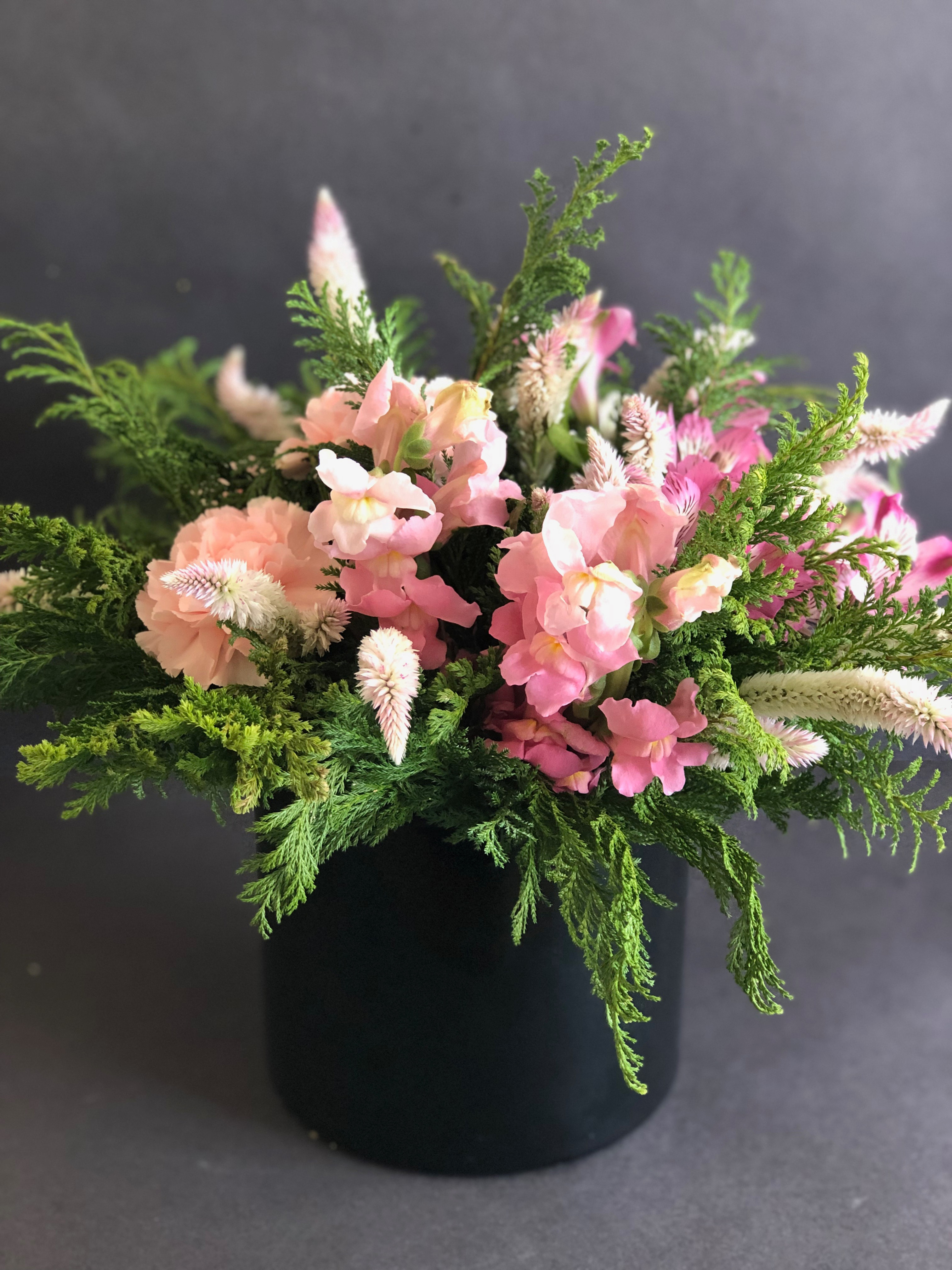 Perritos, clavel, alstroemeria y verónica