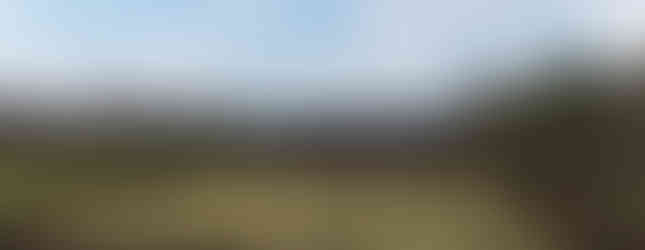 Vorbereitung der Torfmoos-Aussaat 