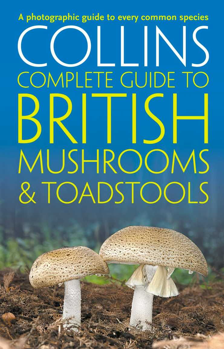 Complete guide to British Mushrooms