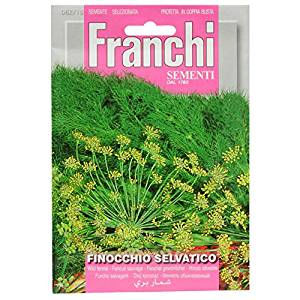 Wild Fennel Seeds (1240)