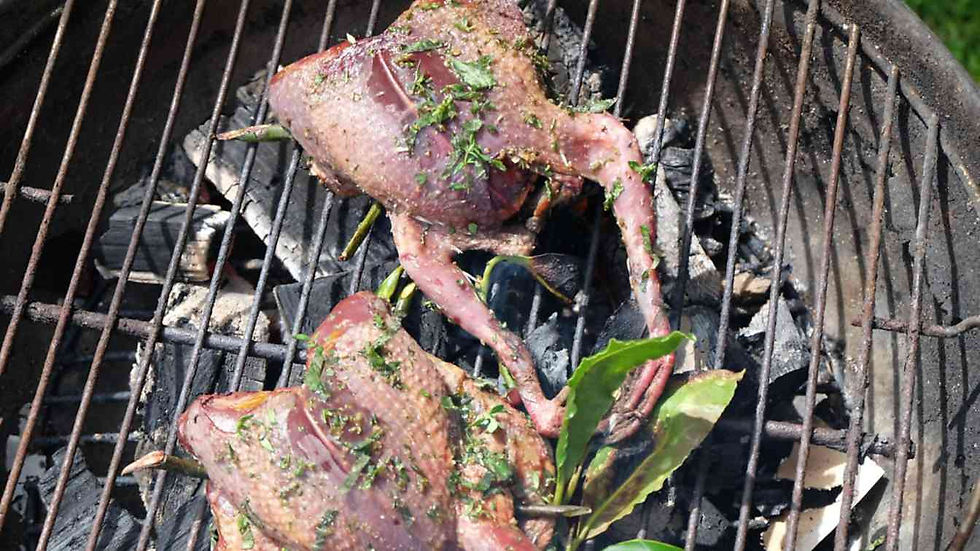 Grilled pigeon with herbs