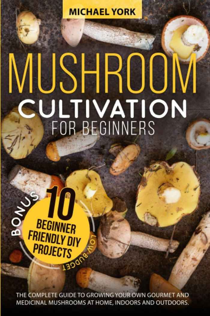 Mushroom Cultivation for Beginners