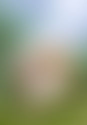 St George Mushroom Identification, Look-alikes and Recipes