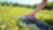 berry combs and fruit pickers.jpg
