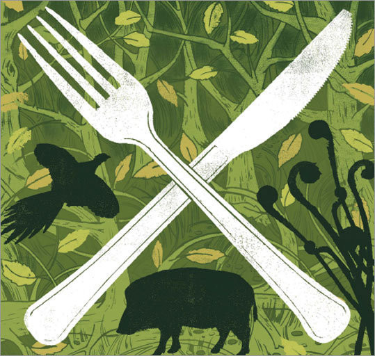 Mushroom and Foraging Knife Best Knives in the UK