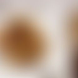 Venetian Duck Ragu with Spiced Orange Sauce