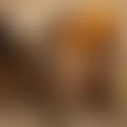 Foraging Wild Mushrooms in the UK: A Guide to Exploring Nature's Bounty