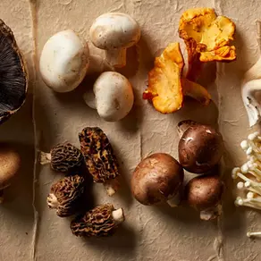 Foraging Wild Mushrooms in the UK: A Guide to Exploring Nature's Bounty