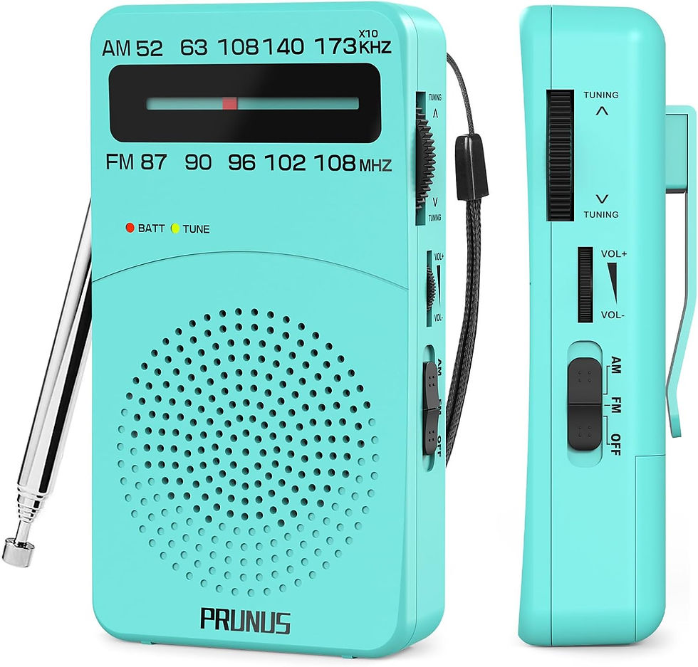 Miniature : Radio portable PRUNUS J-166 AM/FM à piles AA BLEU