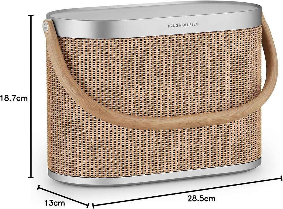 Miniature : Bang & Olufsen Beosound A5  