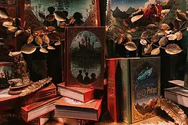 livres harry potter