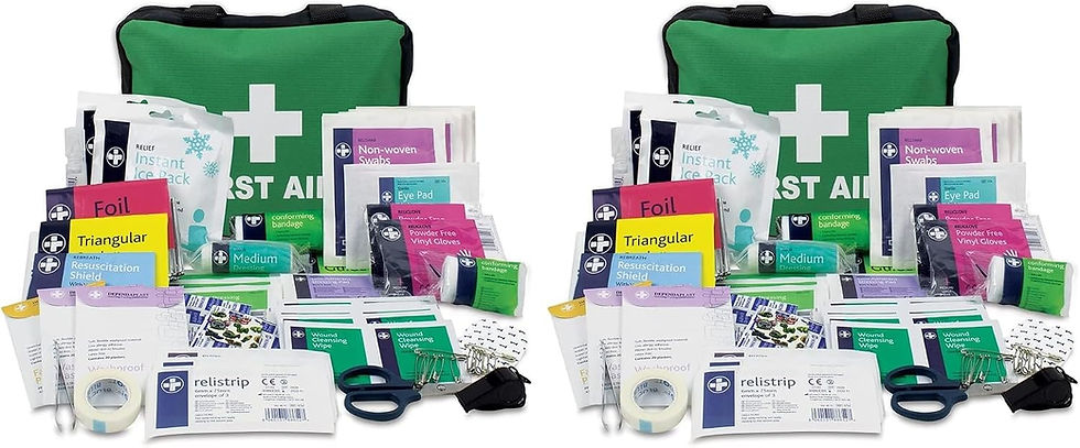 Trousse Lewis-Plast et assortiment de pansements et accessoires de secours