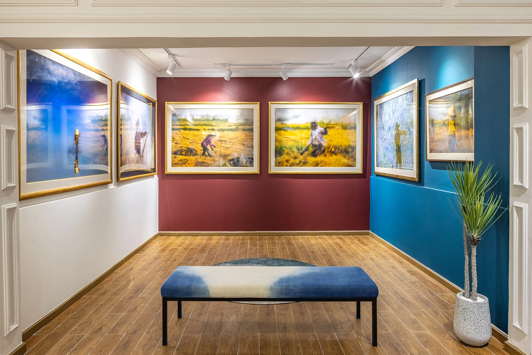 Art Spaces & Galleries