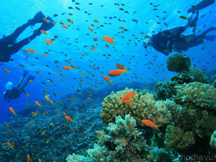 Vietnam's Water Adventures: Snorkeling, Diving, and Kayaking Hotspots