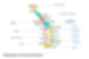 Vietnam travel map for tourists