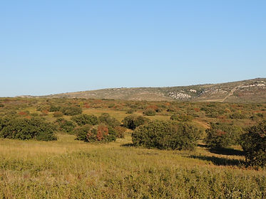 DSCN0193.JPG