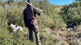 chasseur de dos tenant son fusil sur l'épaule avec ses deux chiens