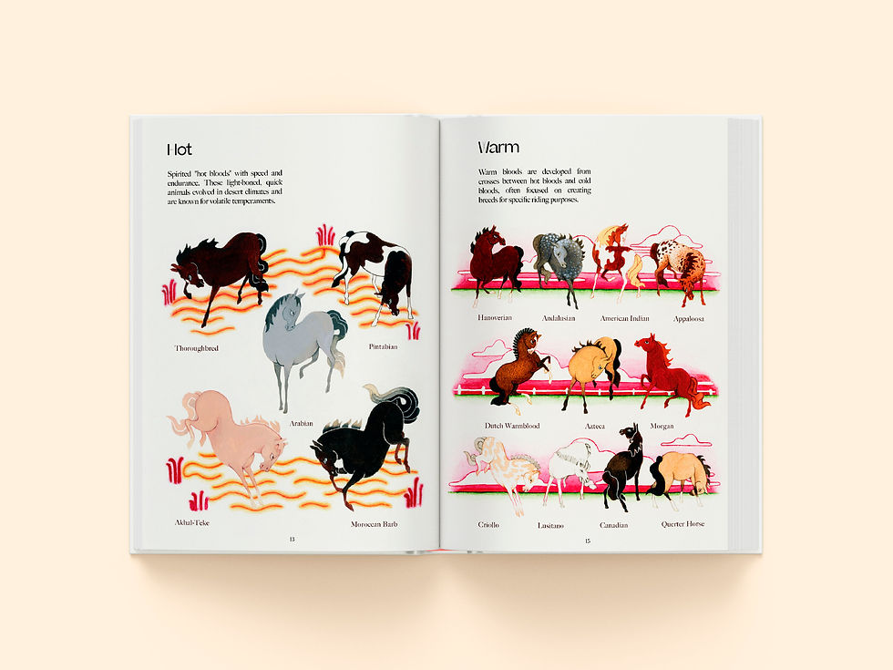 Horse-and-Man-8.jpg