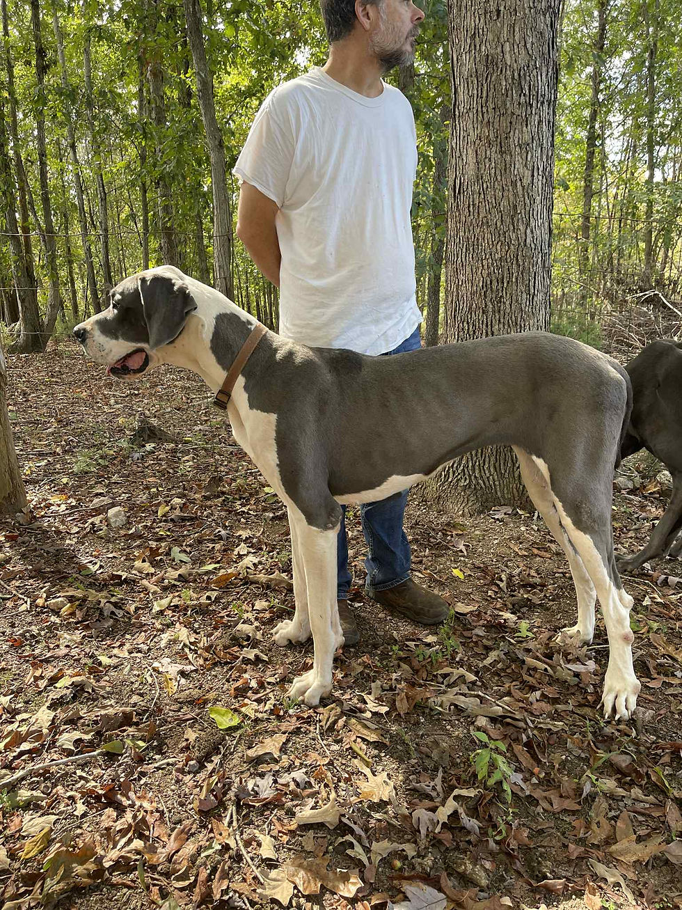 08dabc6c-091e-4694-a712-05b65dd43478