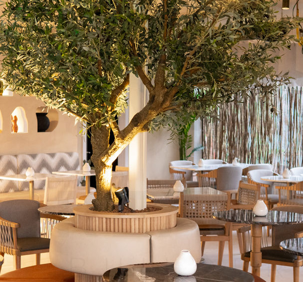 Mediterranean-inspired dining space with timber tables, chairs, and ambient lighting at Amelia’s restaurant and lounge in North Acton