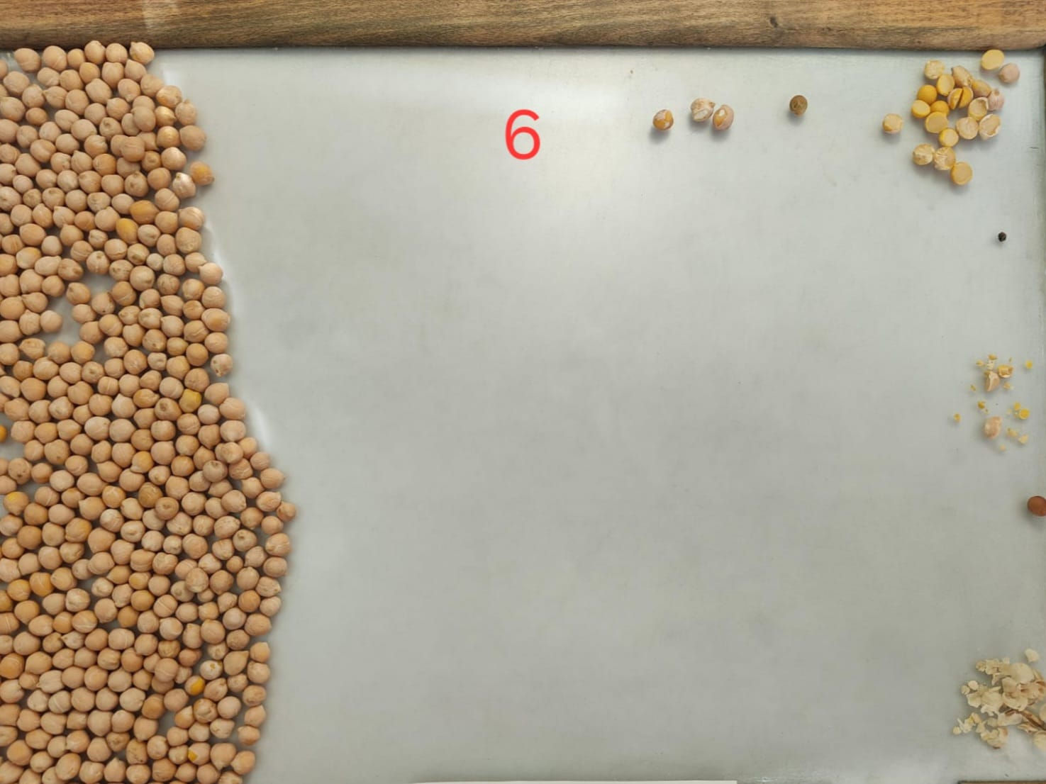 Chickpeas 2024E1006