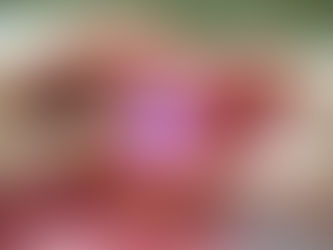 The Red Reflex Examination: Why Every Medical Expert Must Understand Its Medicolegal Importance