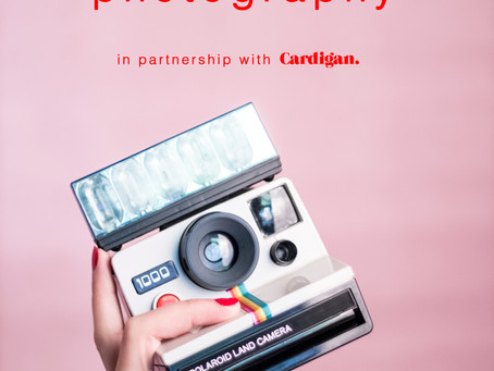 Cardigan Studio Team Up