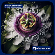MÚSICA DA ALMA # 01 - A FLOR DO MARACUJÁ