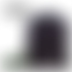 EPISÓDIO # 12 - DA PEDRA BRUTA À OBRA DE ARTE