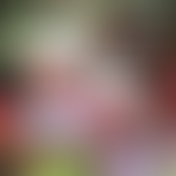 EPISÓDIO # 06 - A VISÃO ESPÍRITA DA MORTE