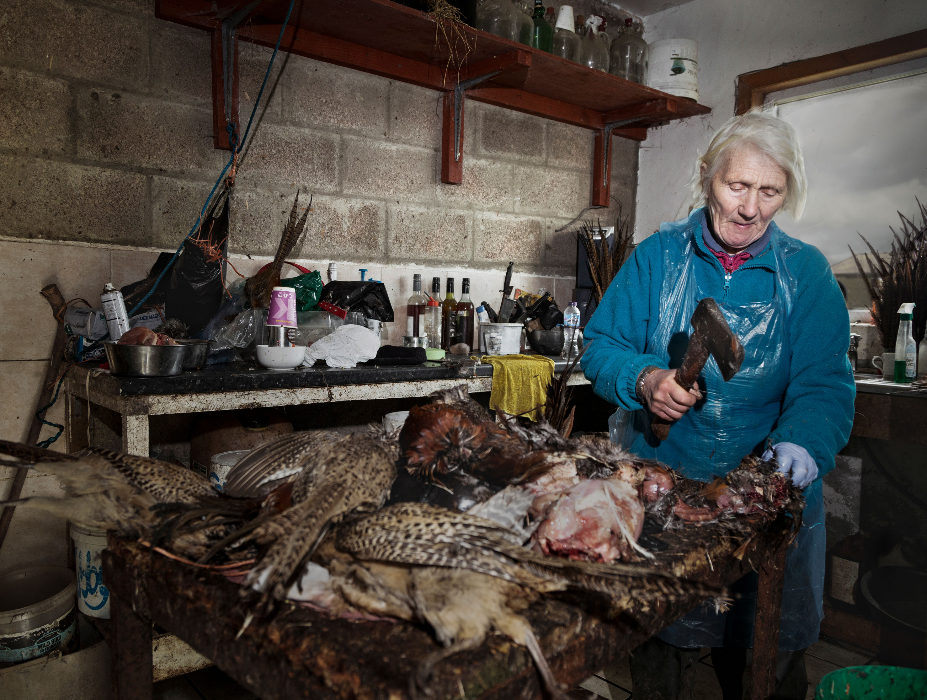 Louise King