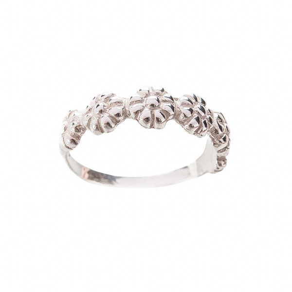 Anillo Floresta