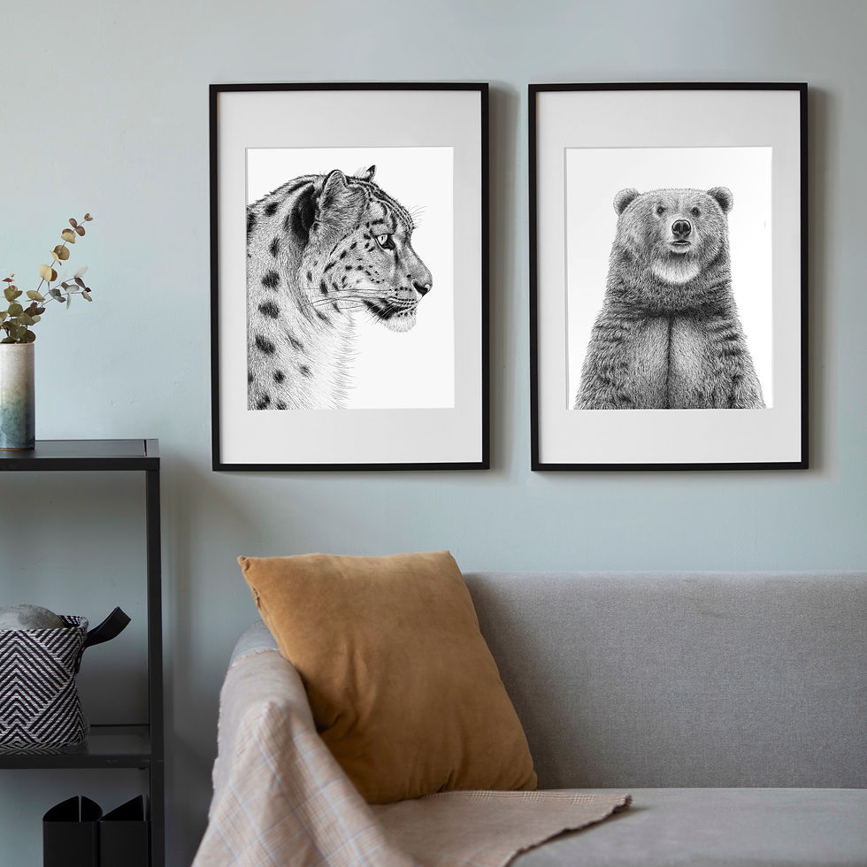 Thumbnail: Brown Bear Art Print - White