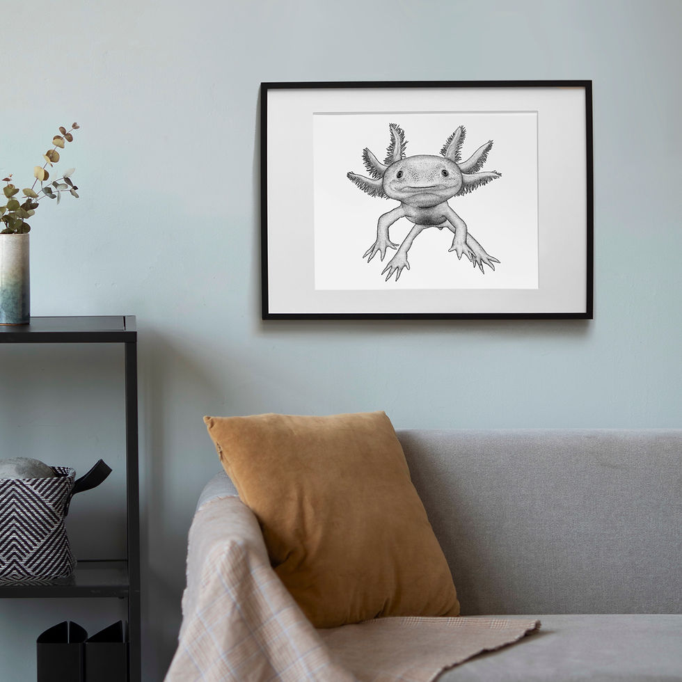 Thumbnail: Axolotl Art Print - White