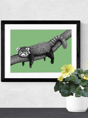Detailed red panda art print on a bold green background