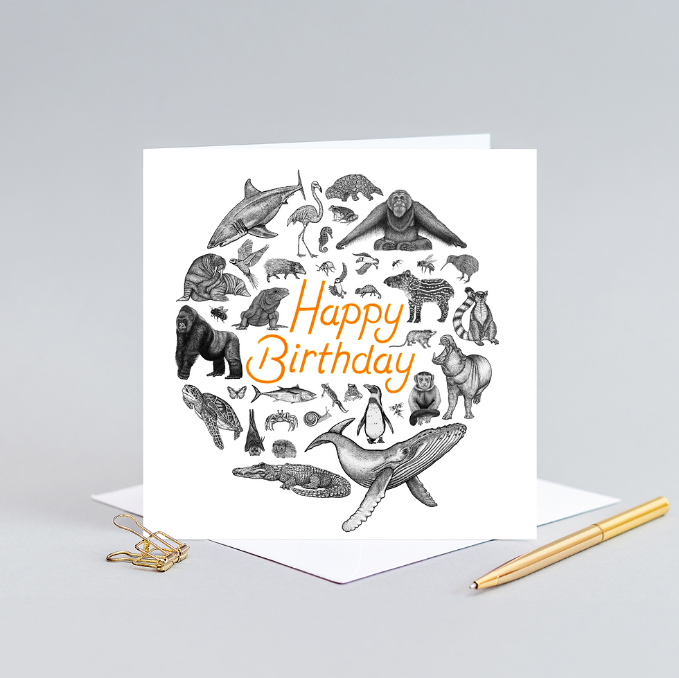 Thumbnail: Animal kingdom Birthday card