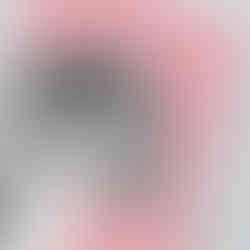 Hand-drawn snow leopard art print with pink background