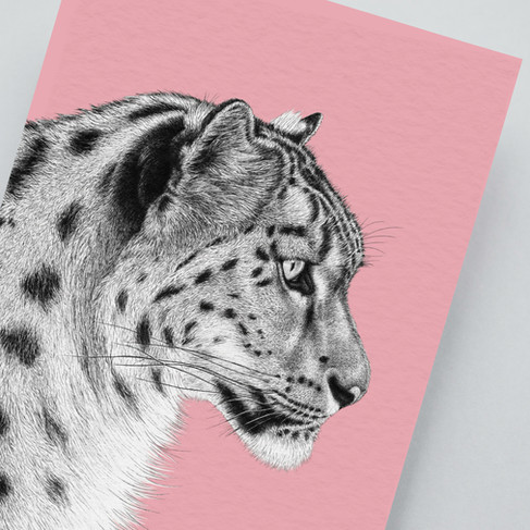 Hand-drawn snow leopard art print with pink background