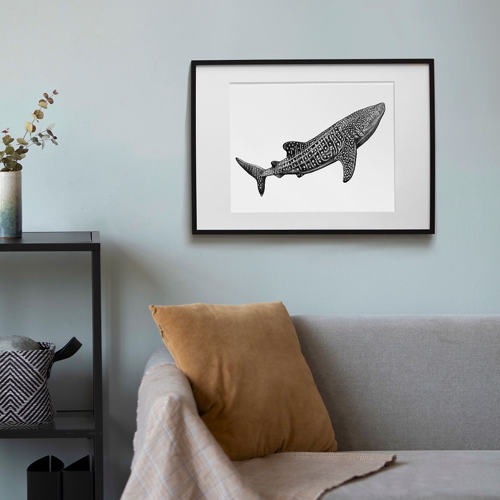 Thumbnail: Whale Shark Art Print - White