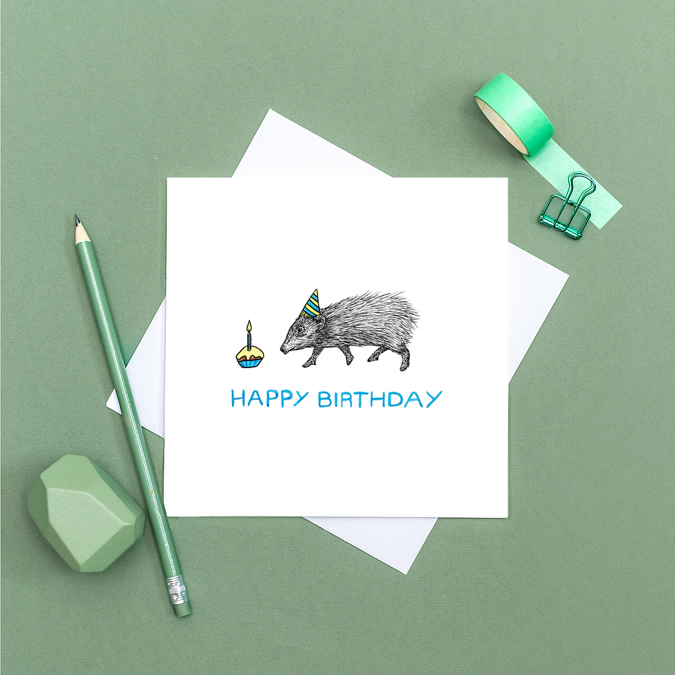 Thumbnail: Pygmy hog Birthday card