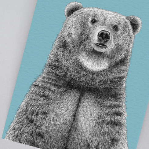 Hand-drawn brown bear art print with blue background