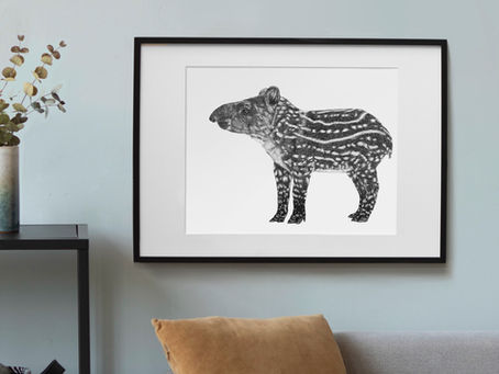 A realistic young tapir art print, hand-drawn in pen and ink