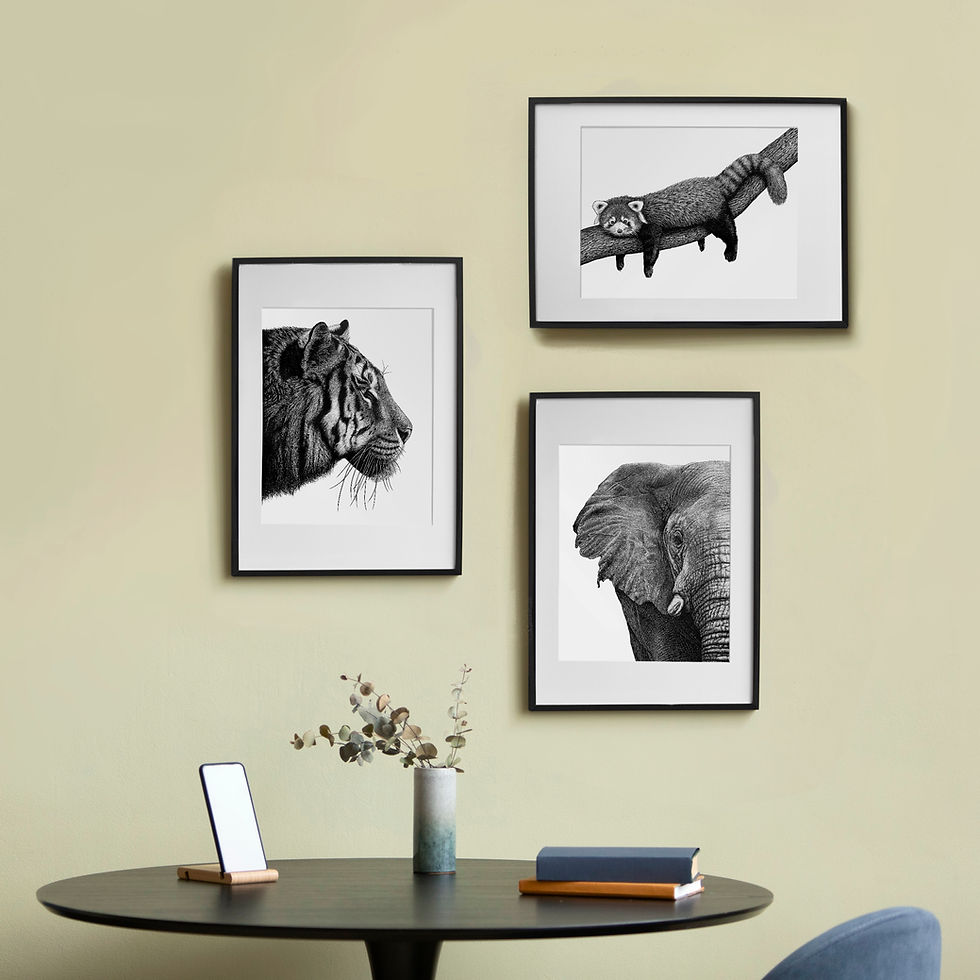 Thumbnail: Red Panda Art Print - White