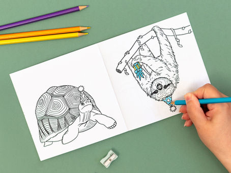 Birthday-themed animal colouring book