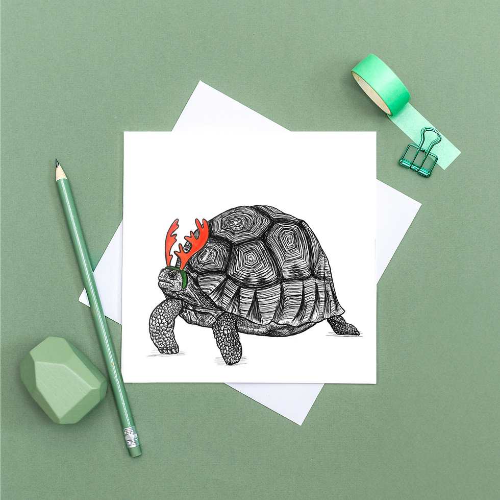 Thumbnail: Christmas tortoise card